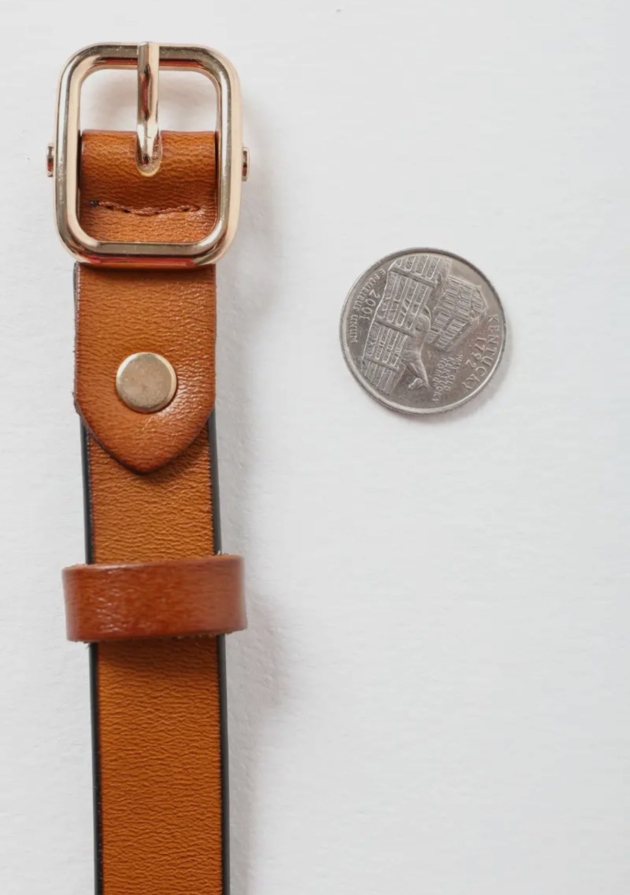Classic Skinny Belt