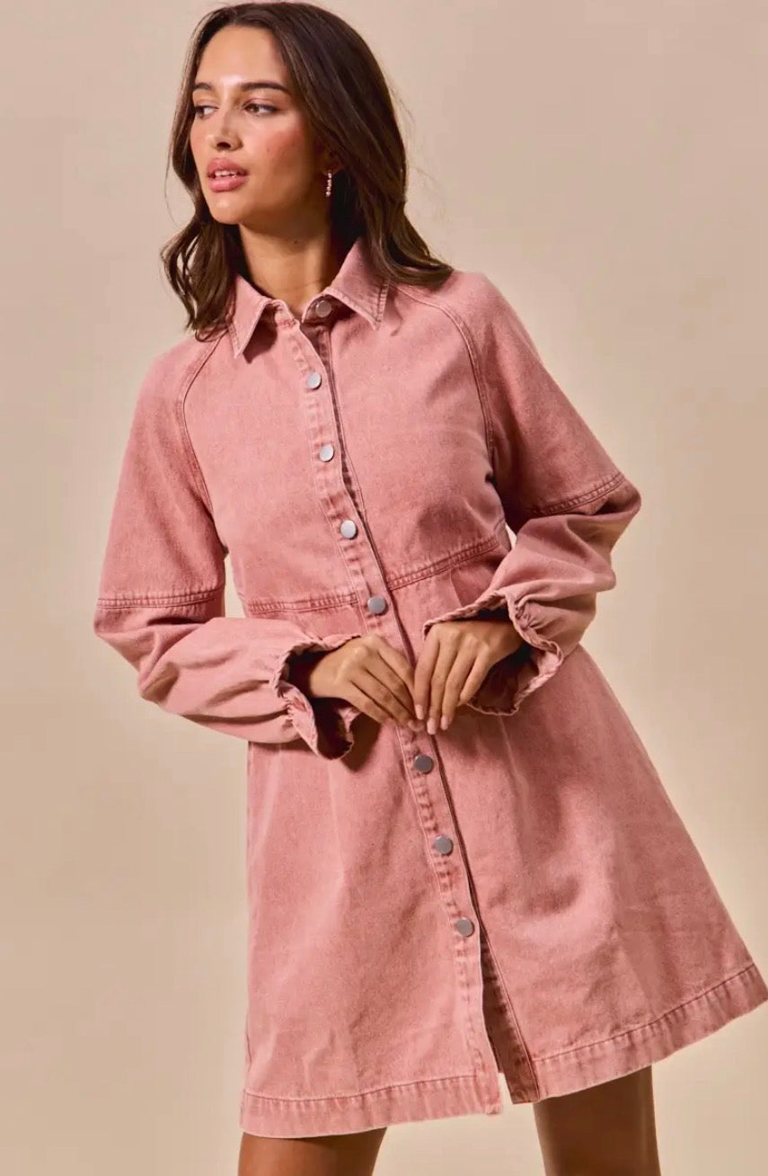 Rose Denim Dress